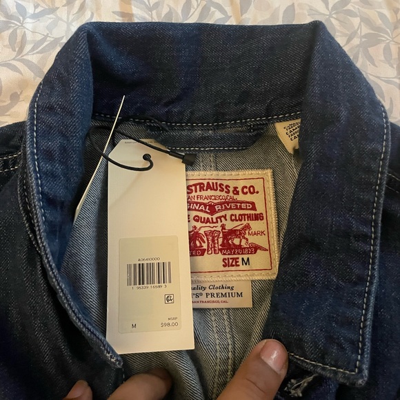 Levi - Picture 2 of 3